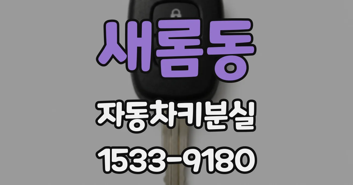 새롬동 자동차키분실