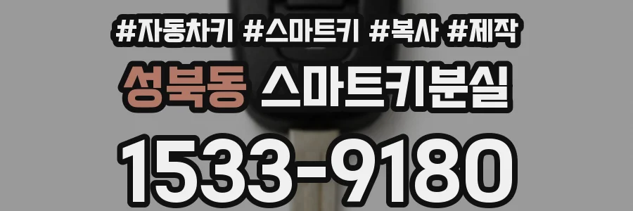 성북동 스마트키분실