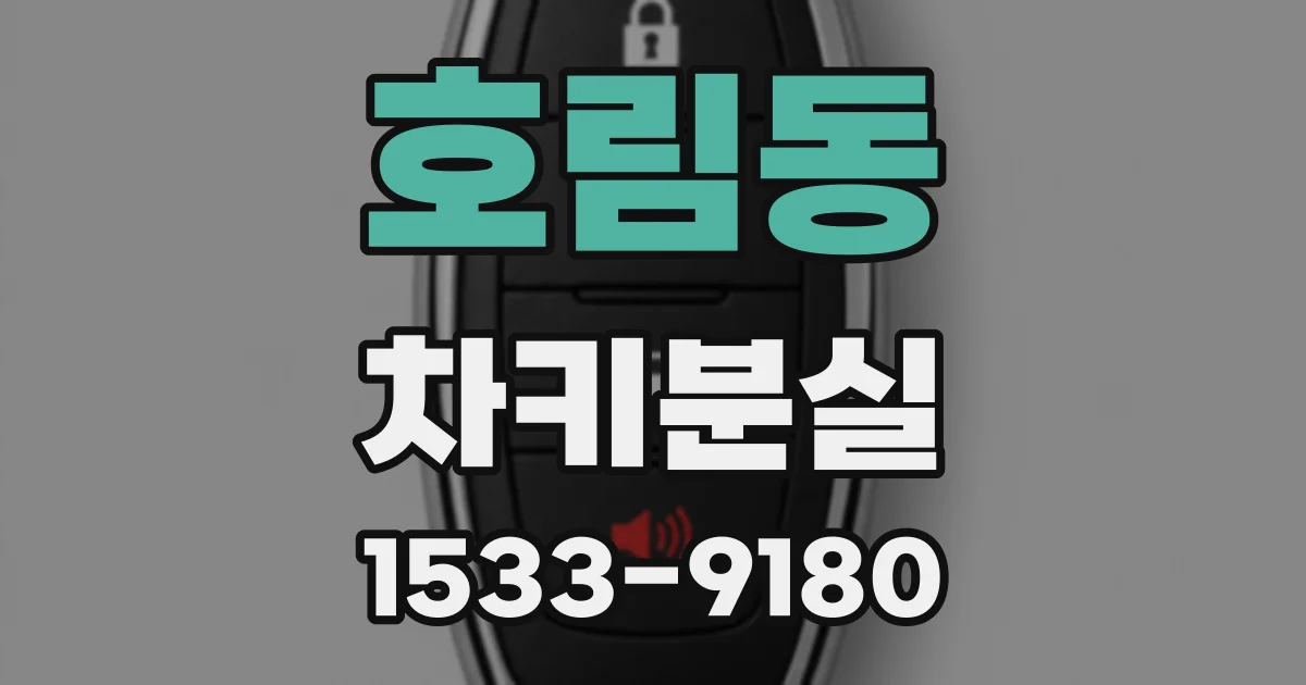 호림동 차키분실