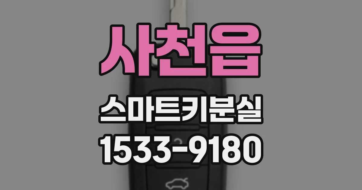 사천읍 스마트키분실