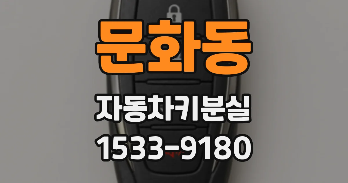문화동 자동차키분실