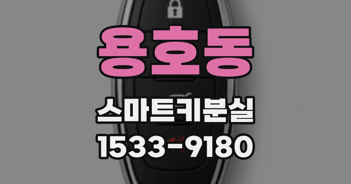 용호동 스마트키분실