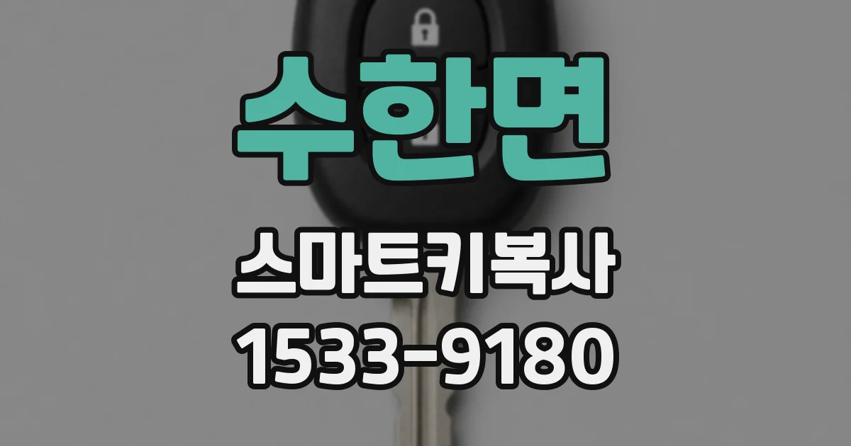수한면 스마트키복사