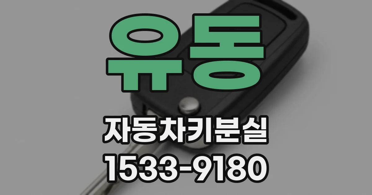 유동 자동차키분실