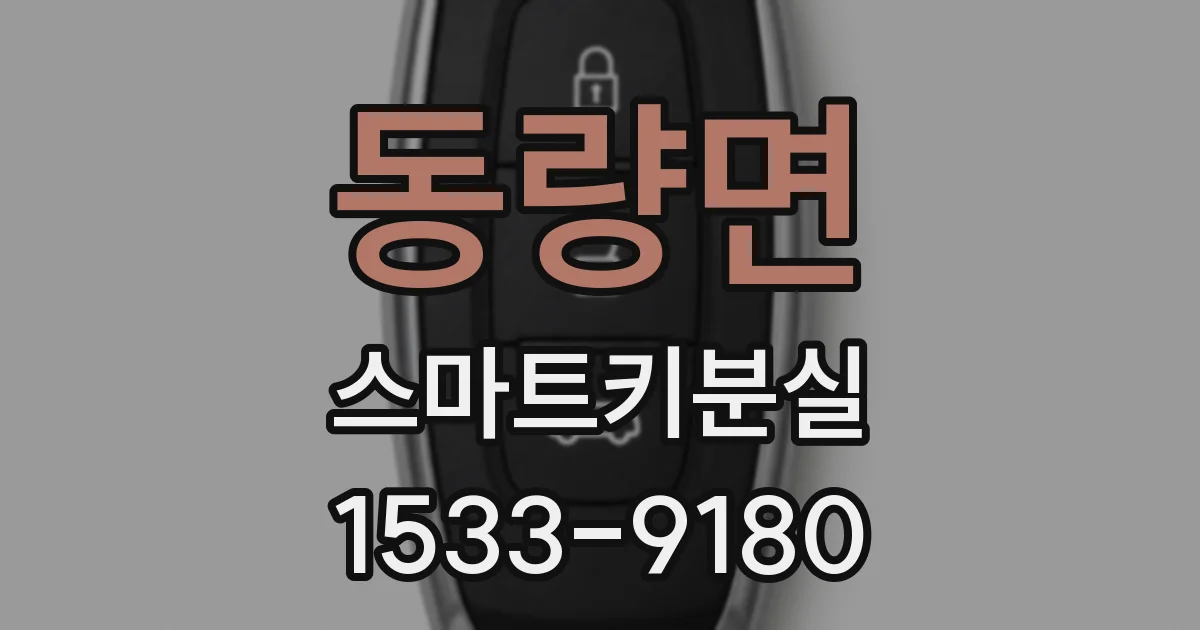동량면 스마트키분실