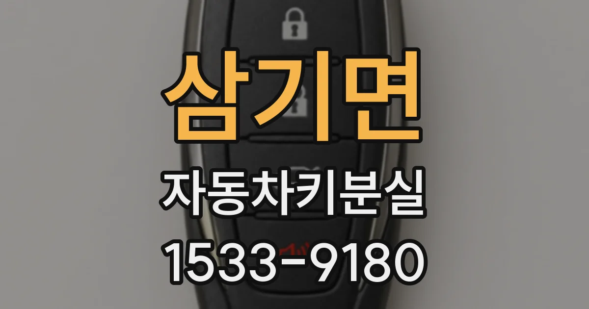 삼기면 자동차키분실