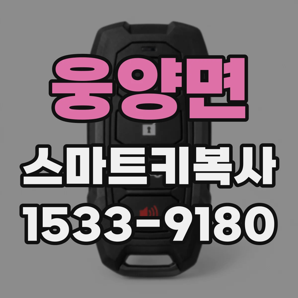 웅양면 스마트키복사