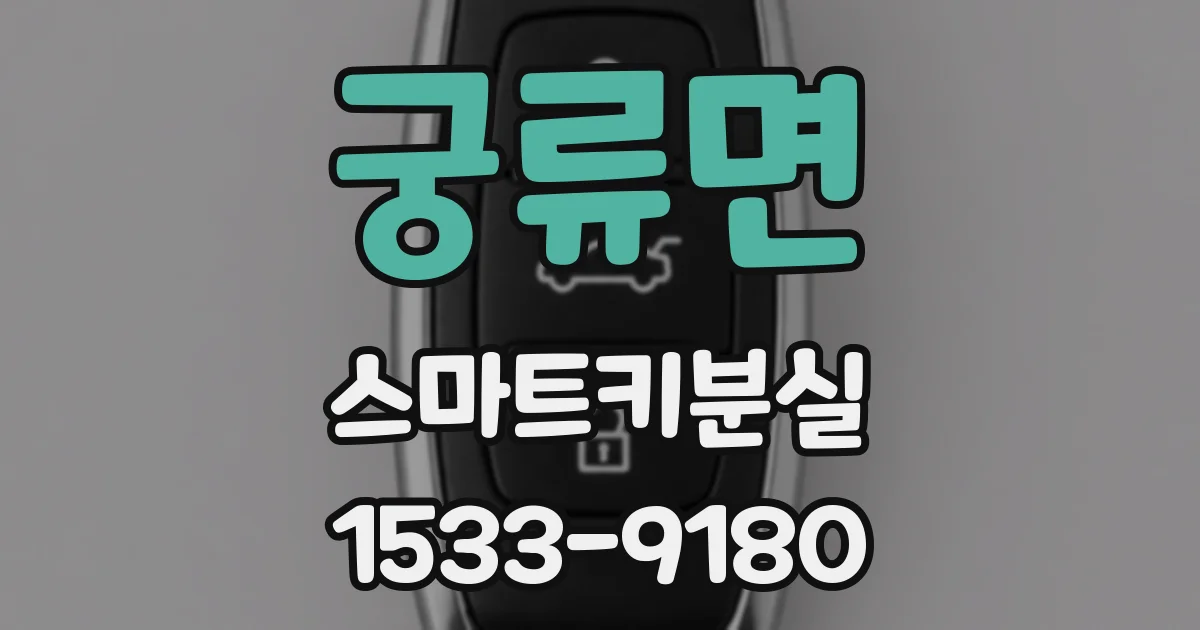 궁류면 스마트키분실