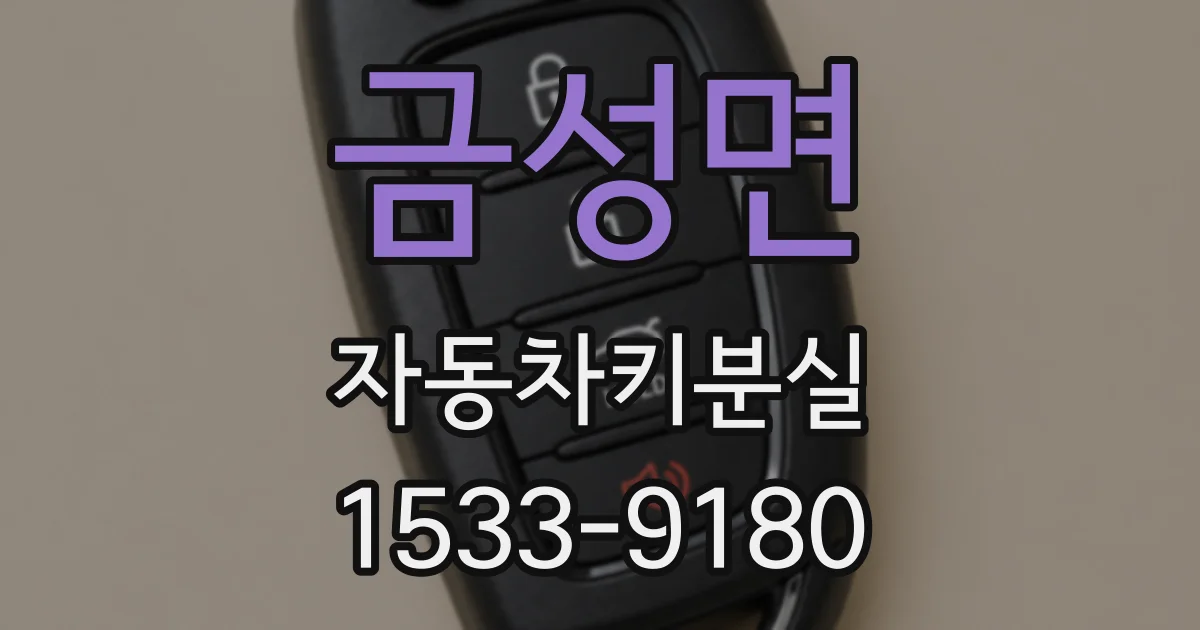금성면 자동차키분실