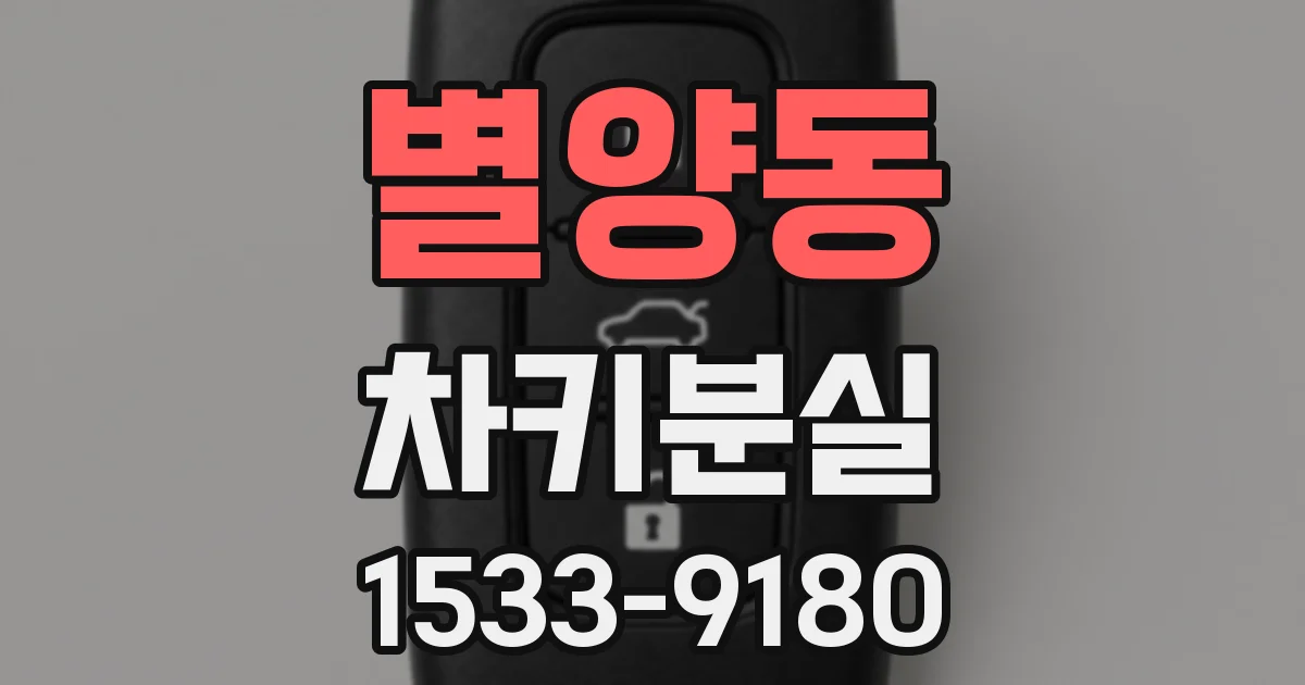 별양동 차키분실