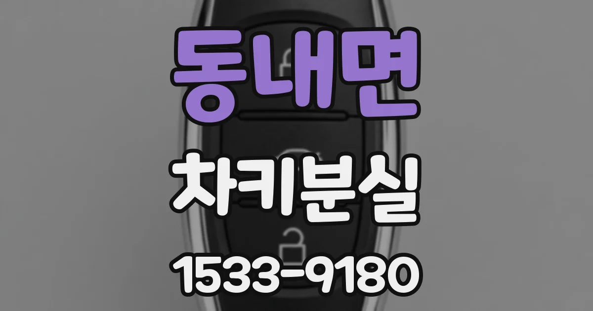 동내면 차키분실