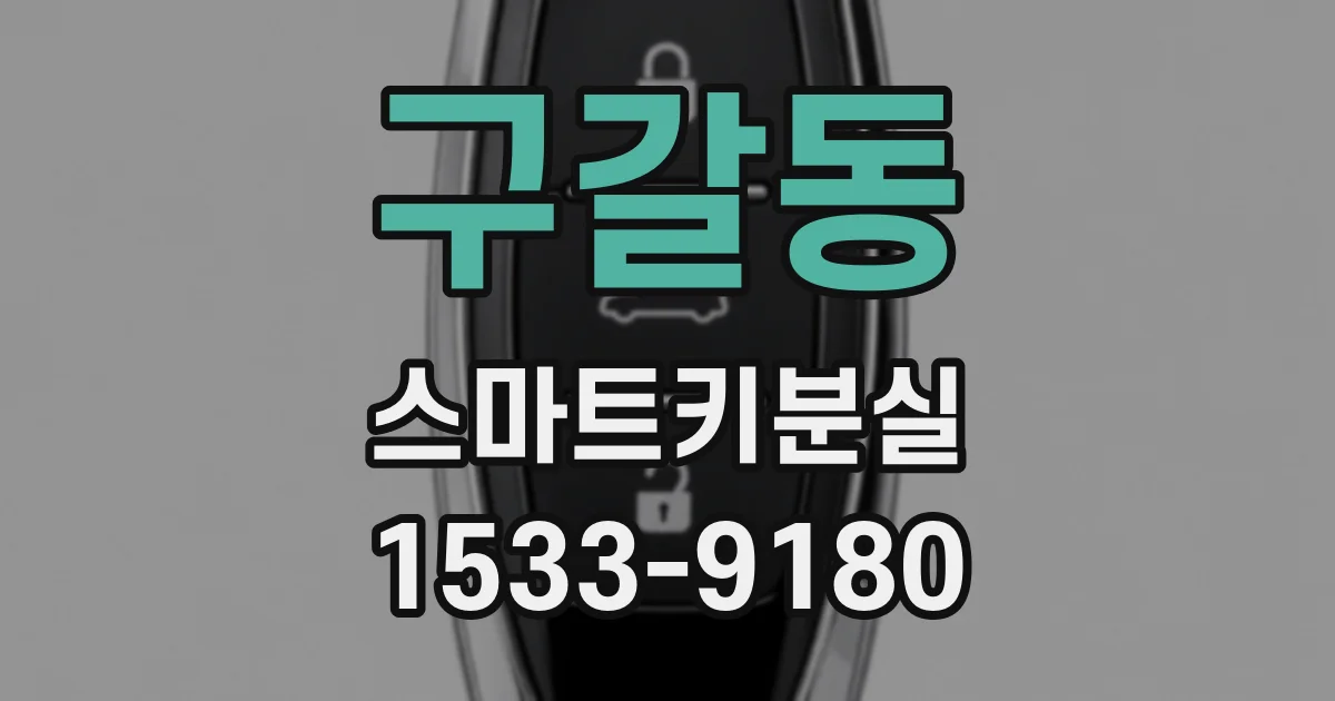 구갈동 스마트키분실