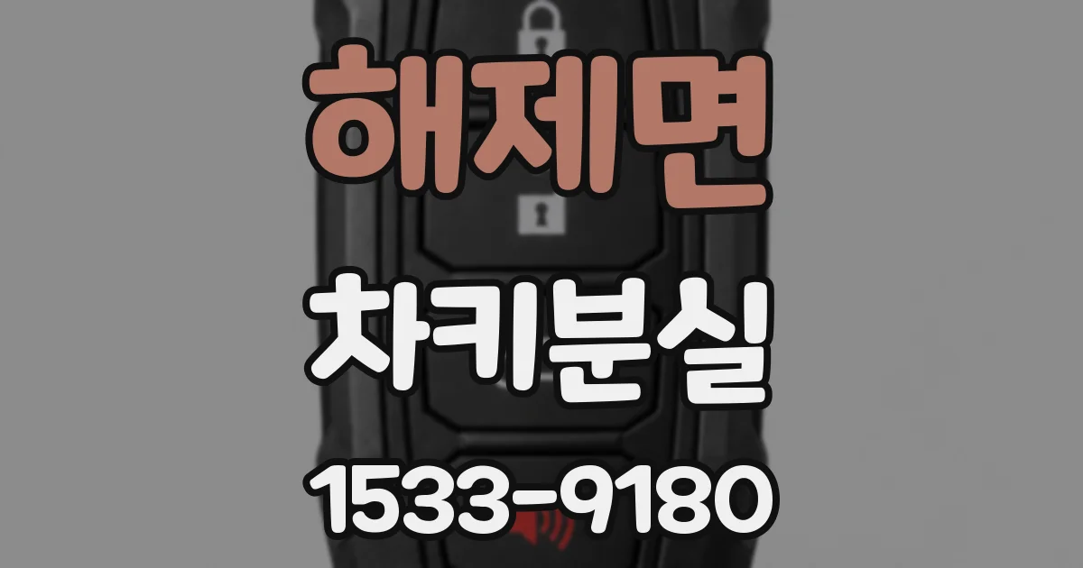 해제면 차키분실