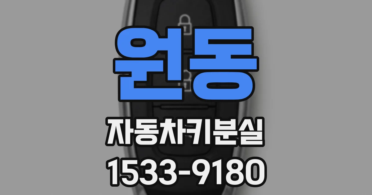 원동 자동차키분실