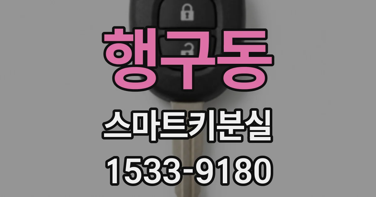 행구동 스마트키분실