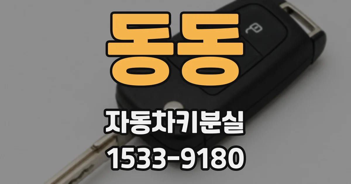 동동 자동차키분실