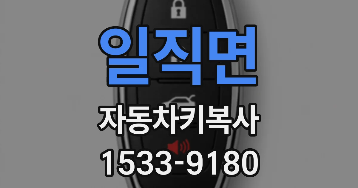 일직면 자동차키복사