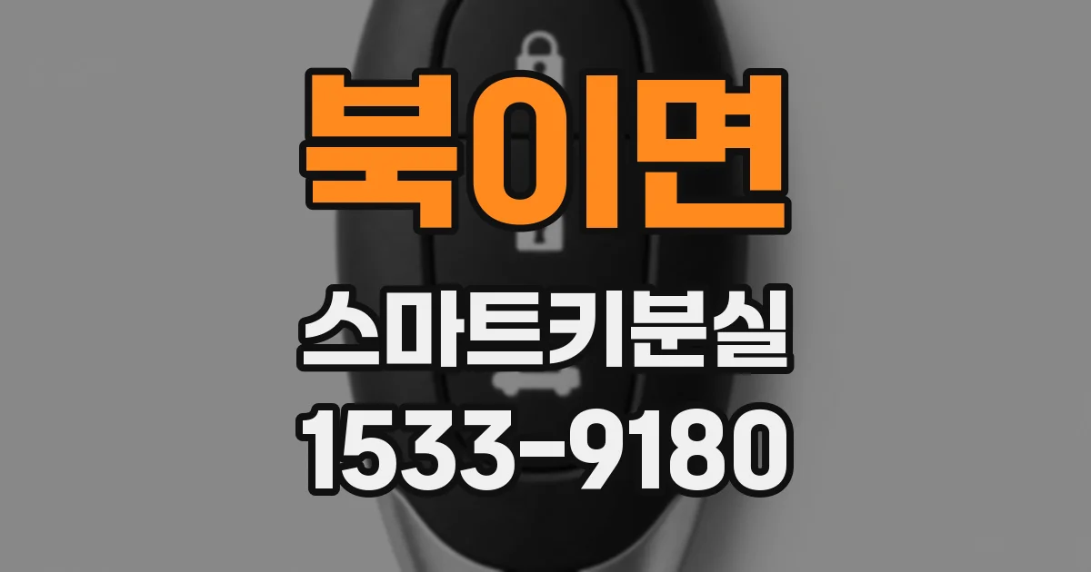 북이면 스마트키분실