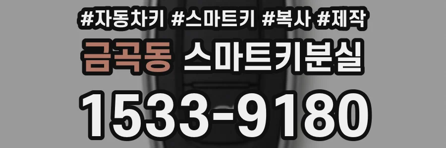 금곡동 스마트키분실
