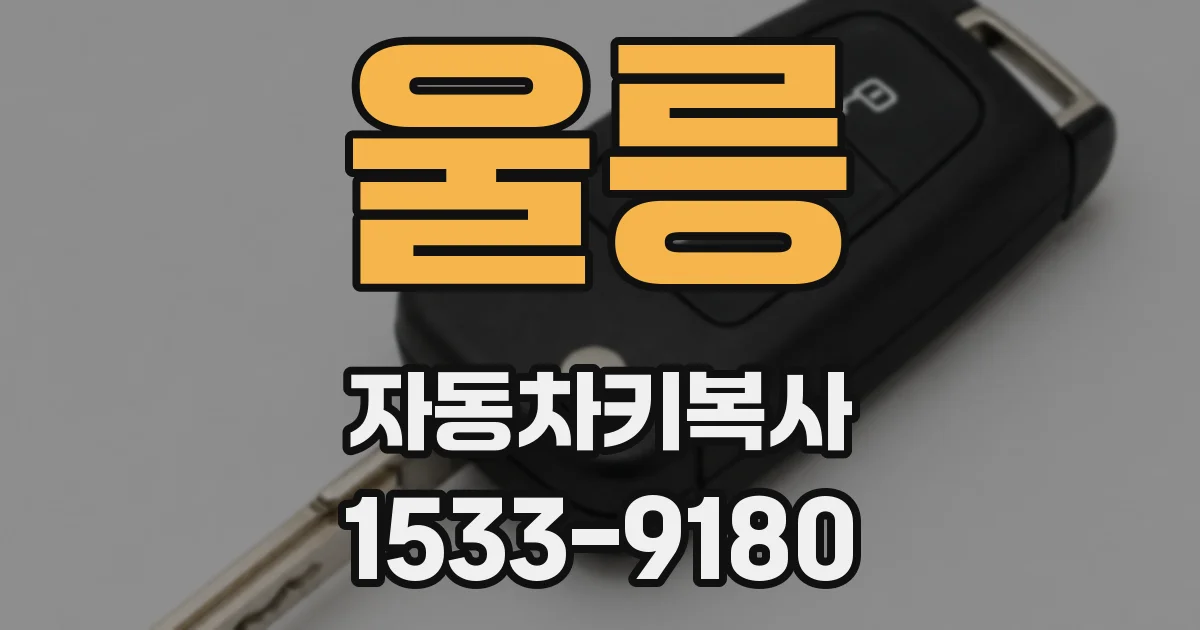 울릉 자동차키복사