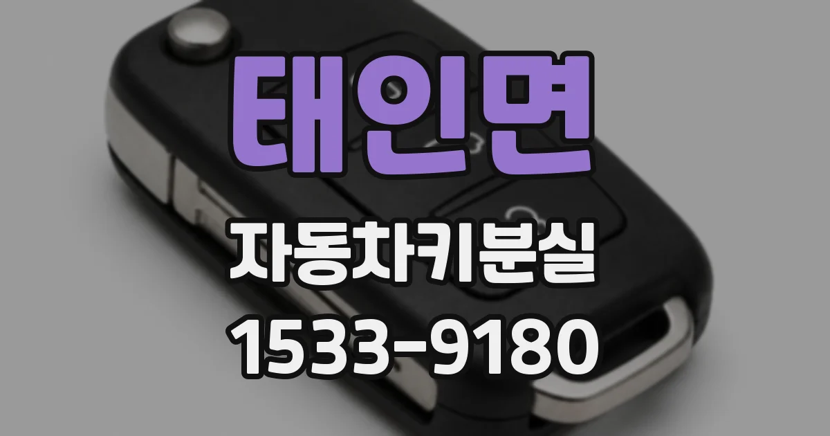 태인면 자동차키분실