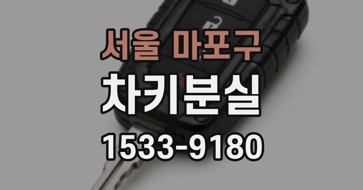 서울 마포구 차키분실