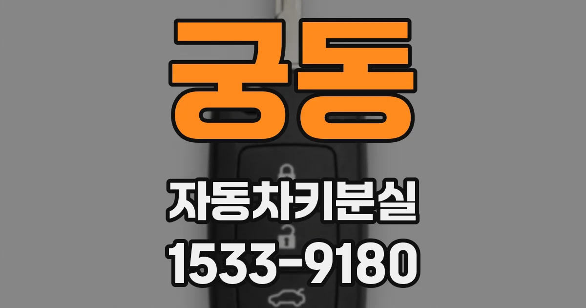 궁동 자동차키분실