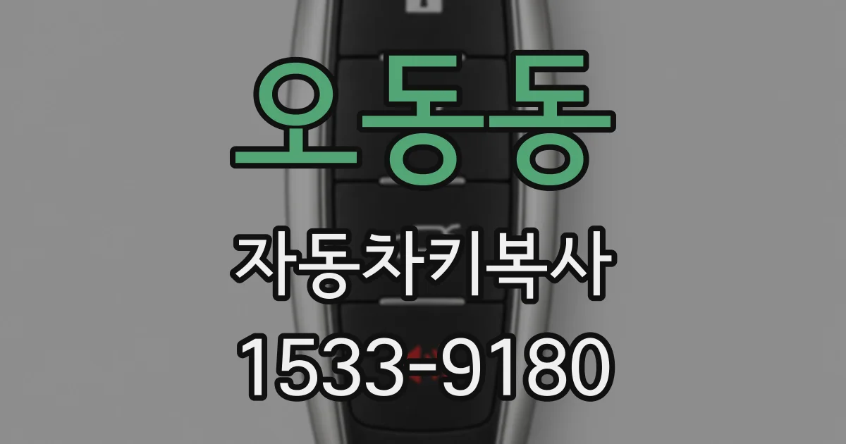 오동동 자동차키복사