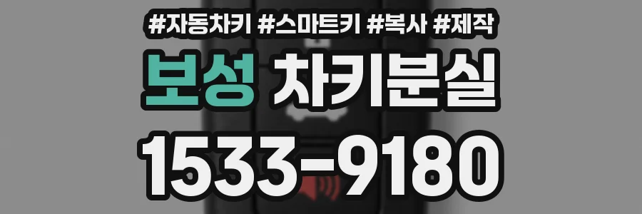 보성 차키분실