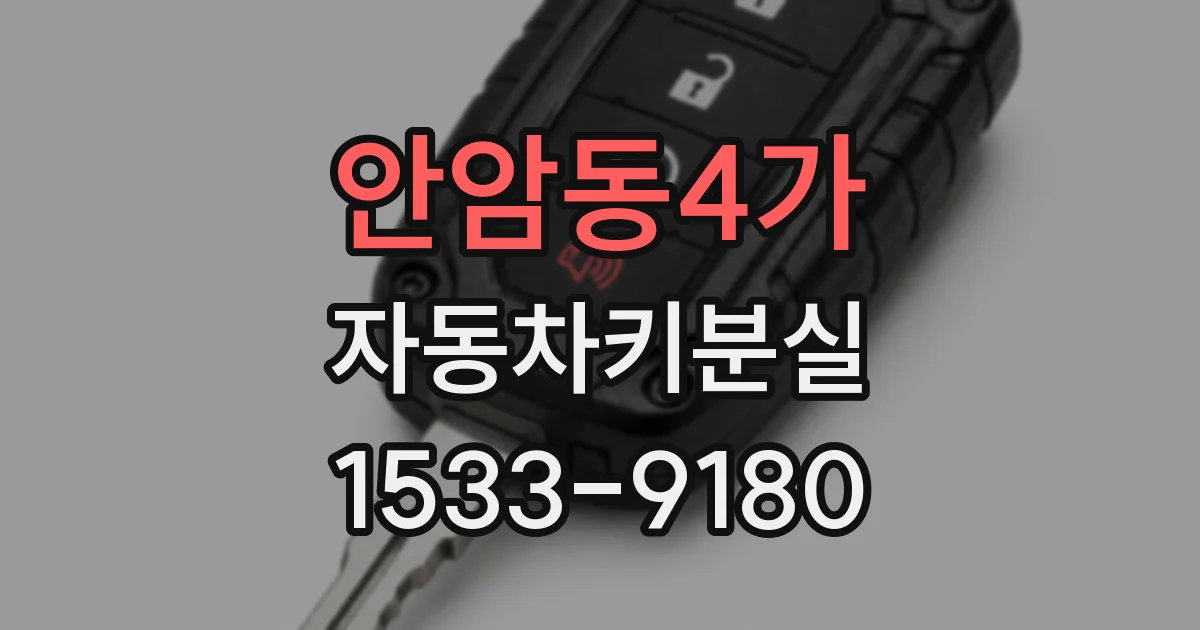 안암동4가 자동차키분실