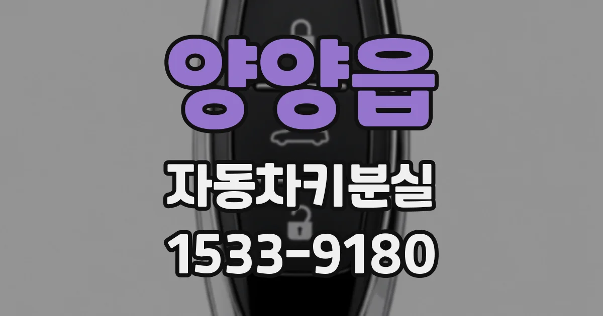 양양읍 자동차키분실