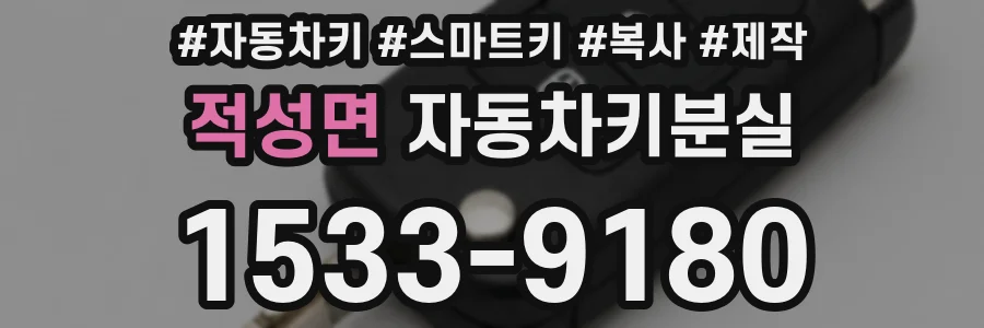 적성면 자동차키분실