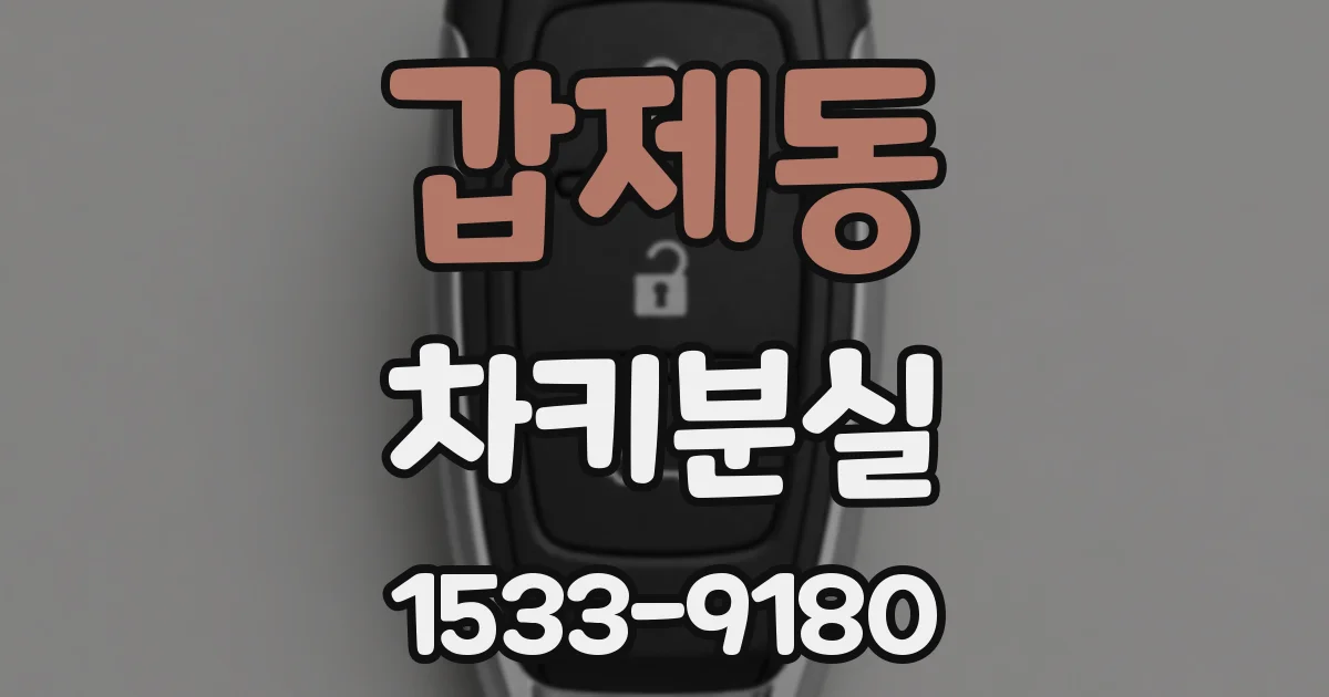 갑제동 차키분실