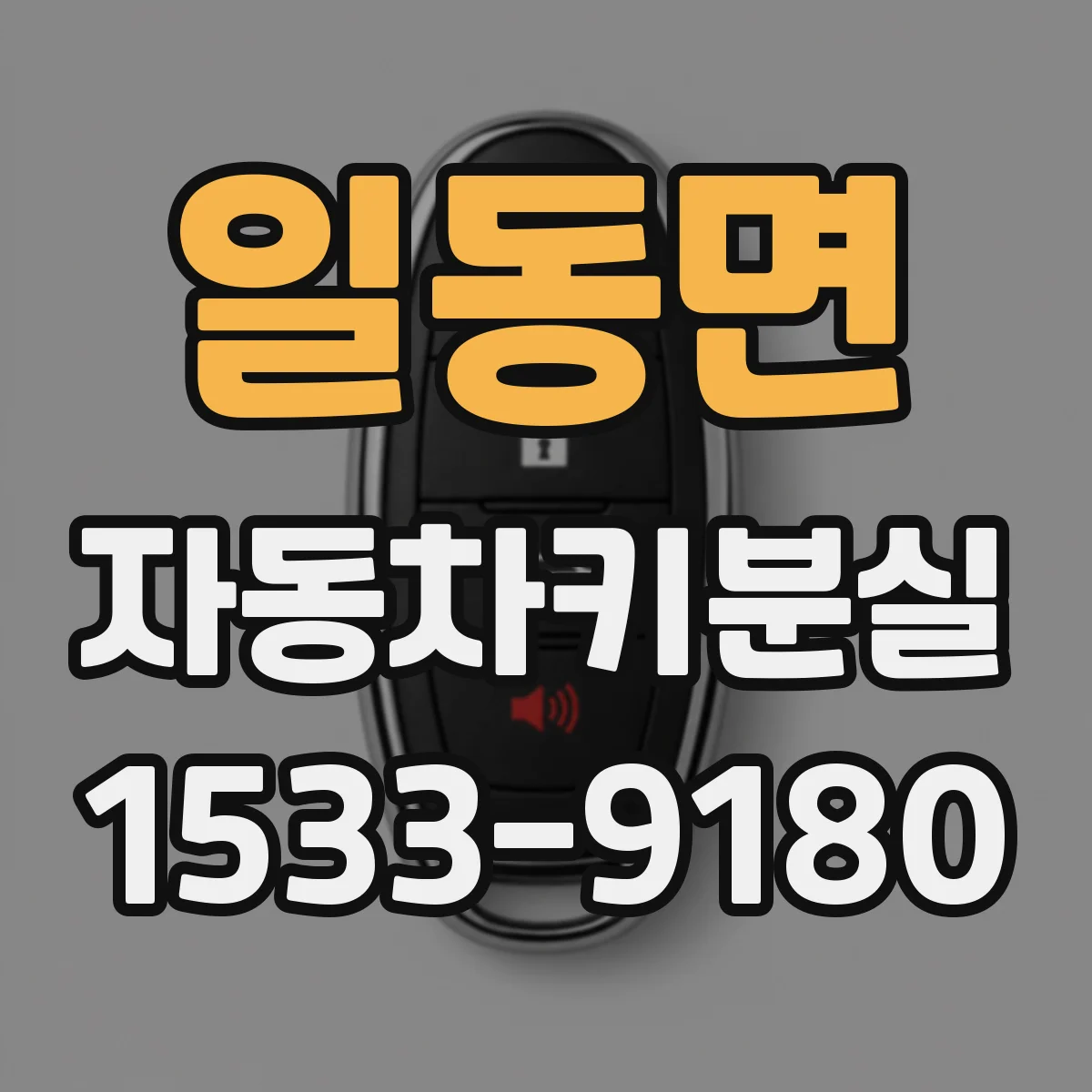 일동면 자동차키분실