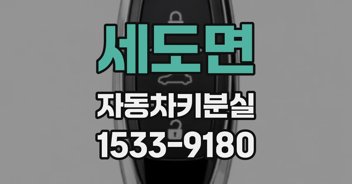 세도면 자동차키분실