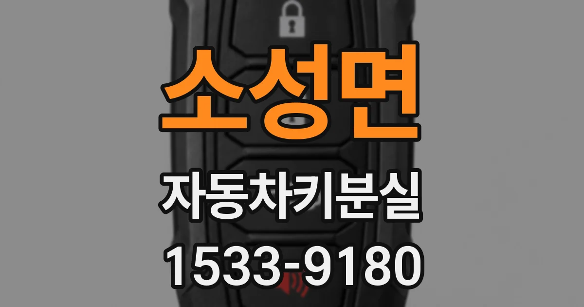 소성면 자동차키분실