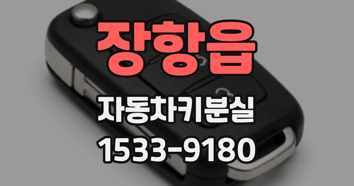 장항읍 자동차키분실