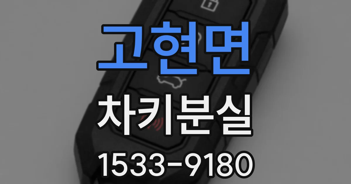 고현면 차키분실