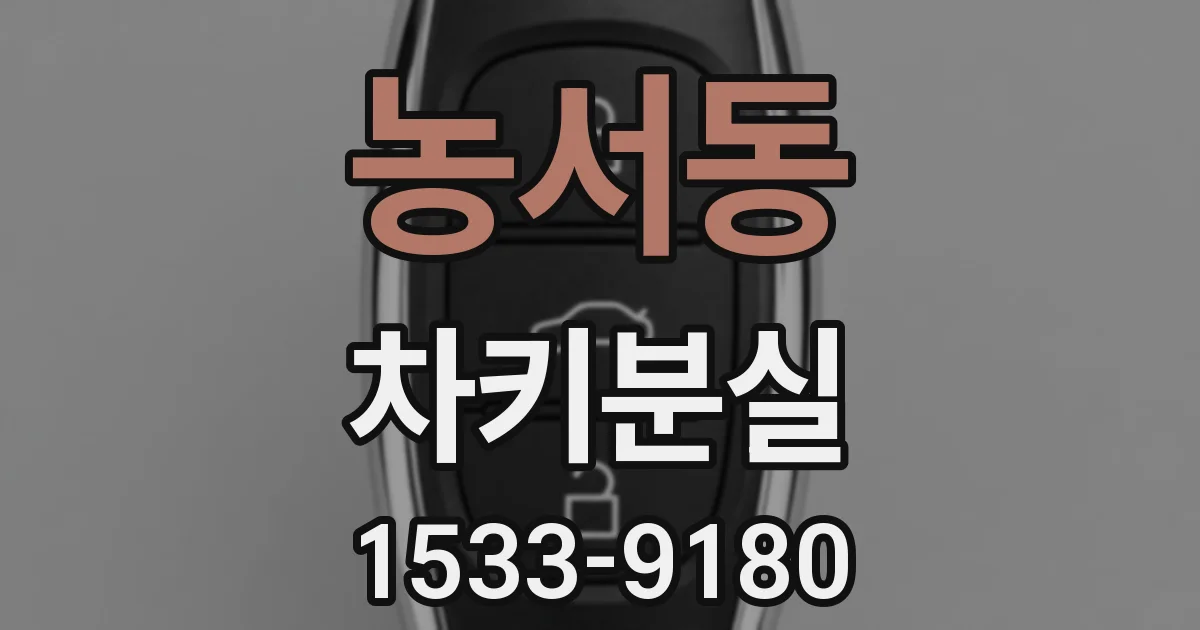 농서동 차키분실