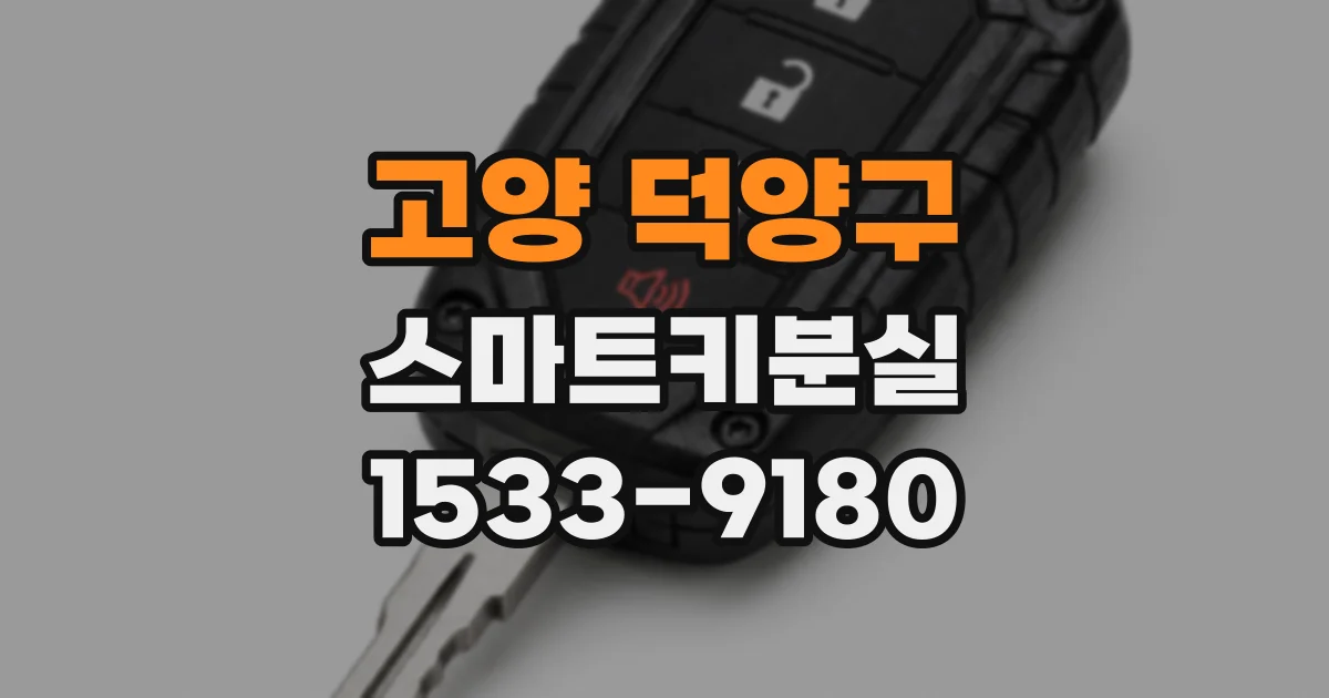 고양 덕양구 스마트키분실