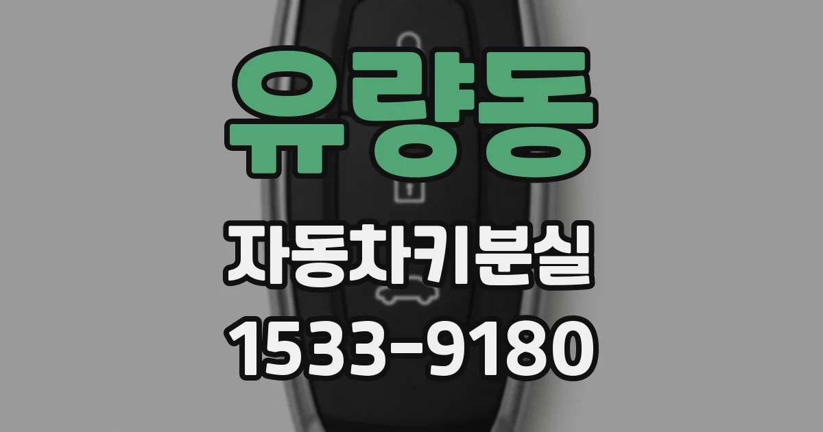 유량동 자동차키분실