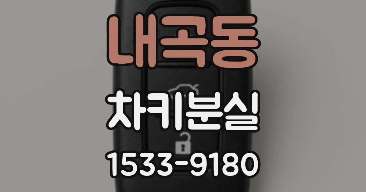 내곡동 차키분실