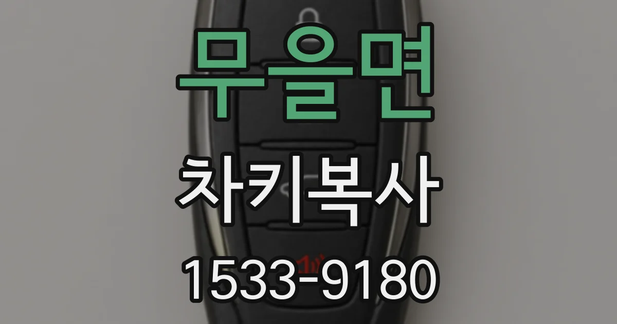 무을면 차키복사