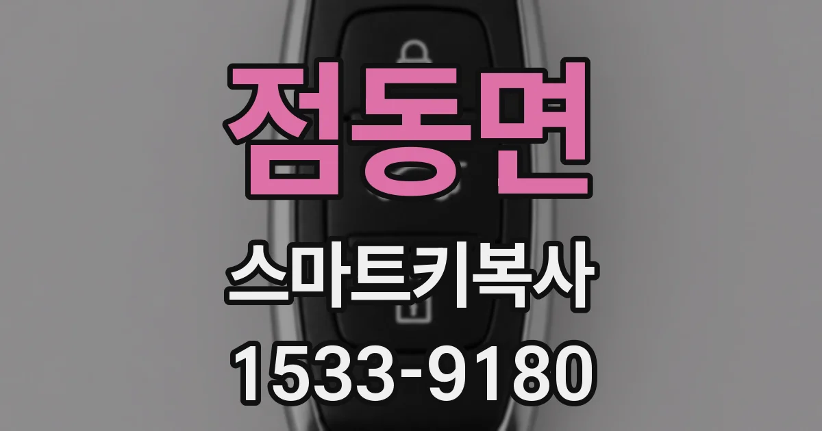 점동면 스마트키복사