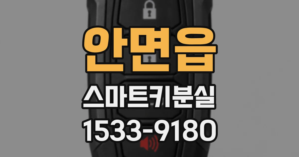 안면읍 스마트키분실