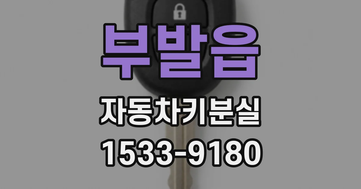 부발읍 자동차키분실