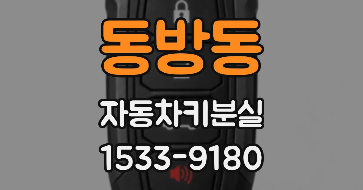 동방동 자동차키분실