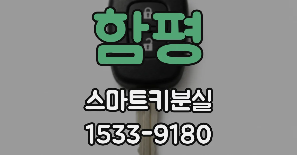 함평 스마트키분실