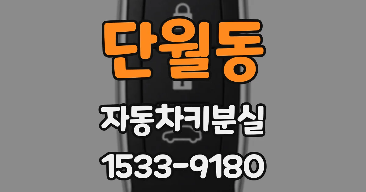 단월동 자동차키분실