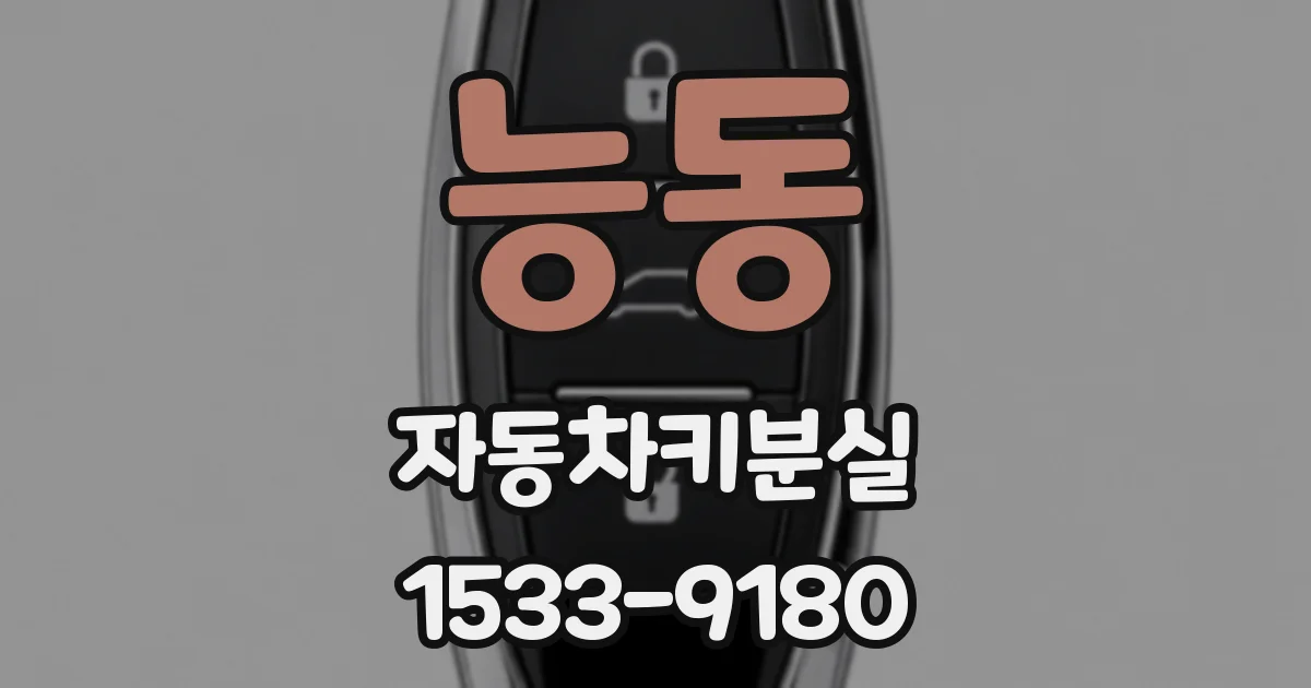 능동 자동차키분실